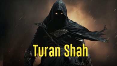 Biography of Turan Shah